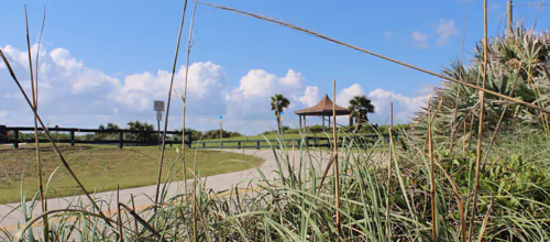 Michael Crotty Bicentennial Park